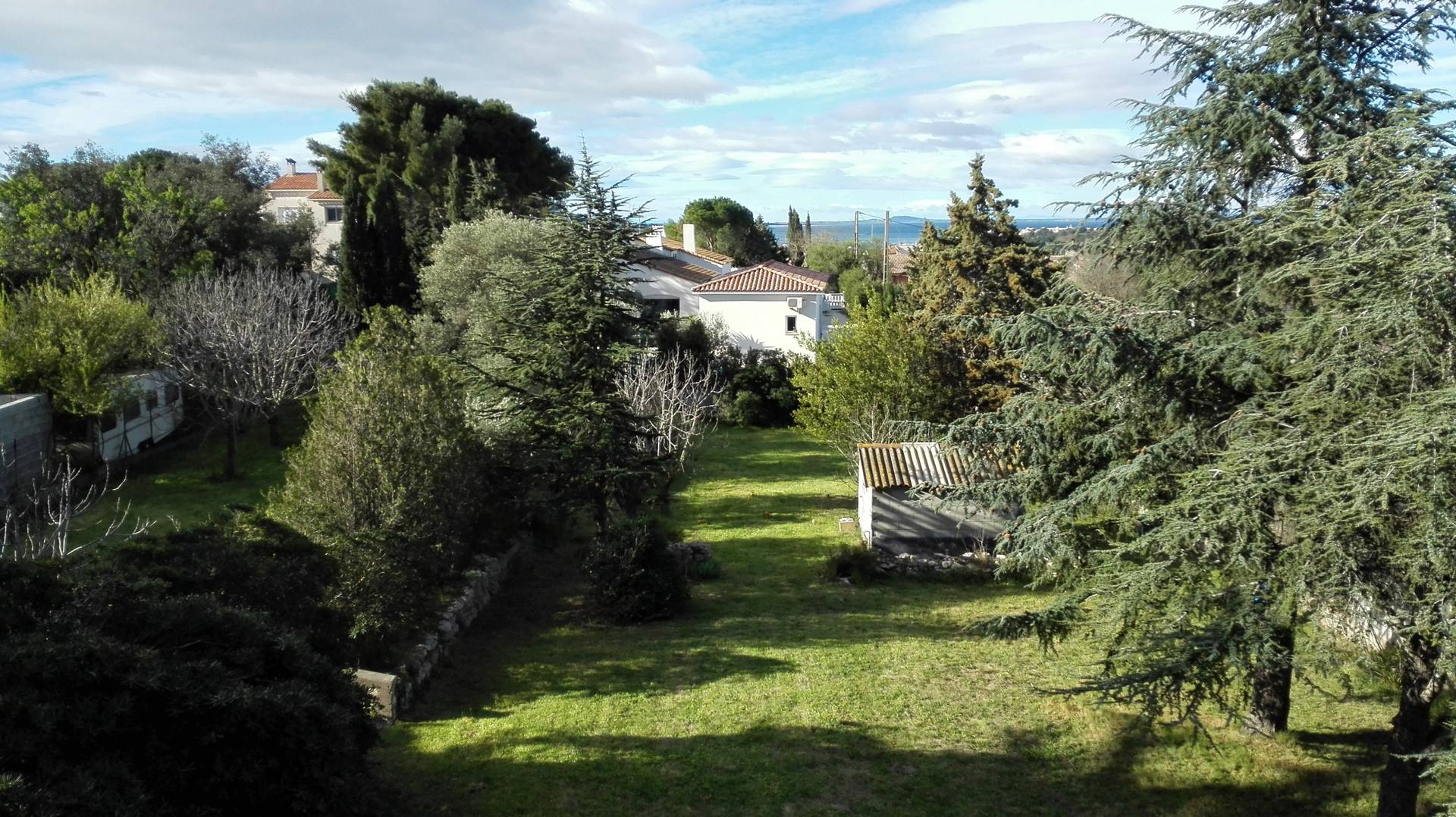 _lv_images__lot_0000000316_12_18960902