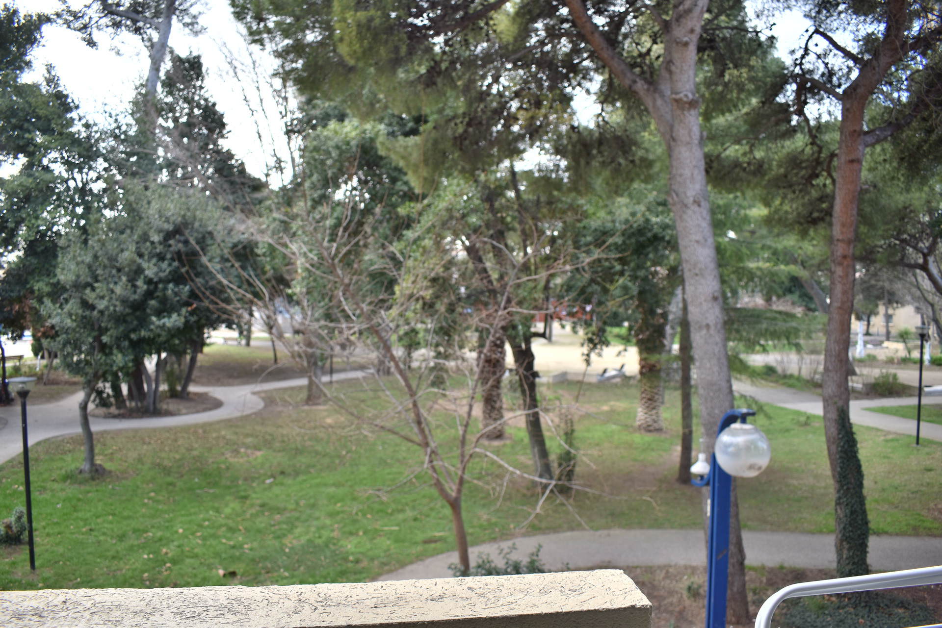 _lv_images__lot_0000000336_11_18961022