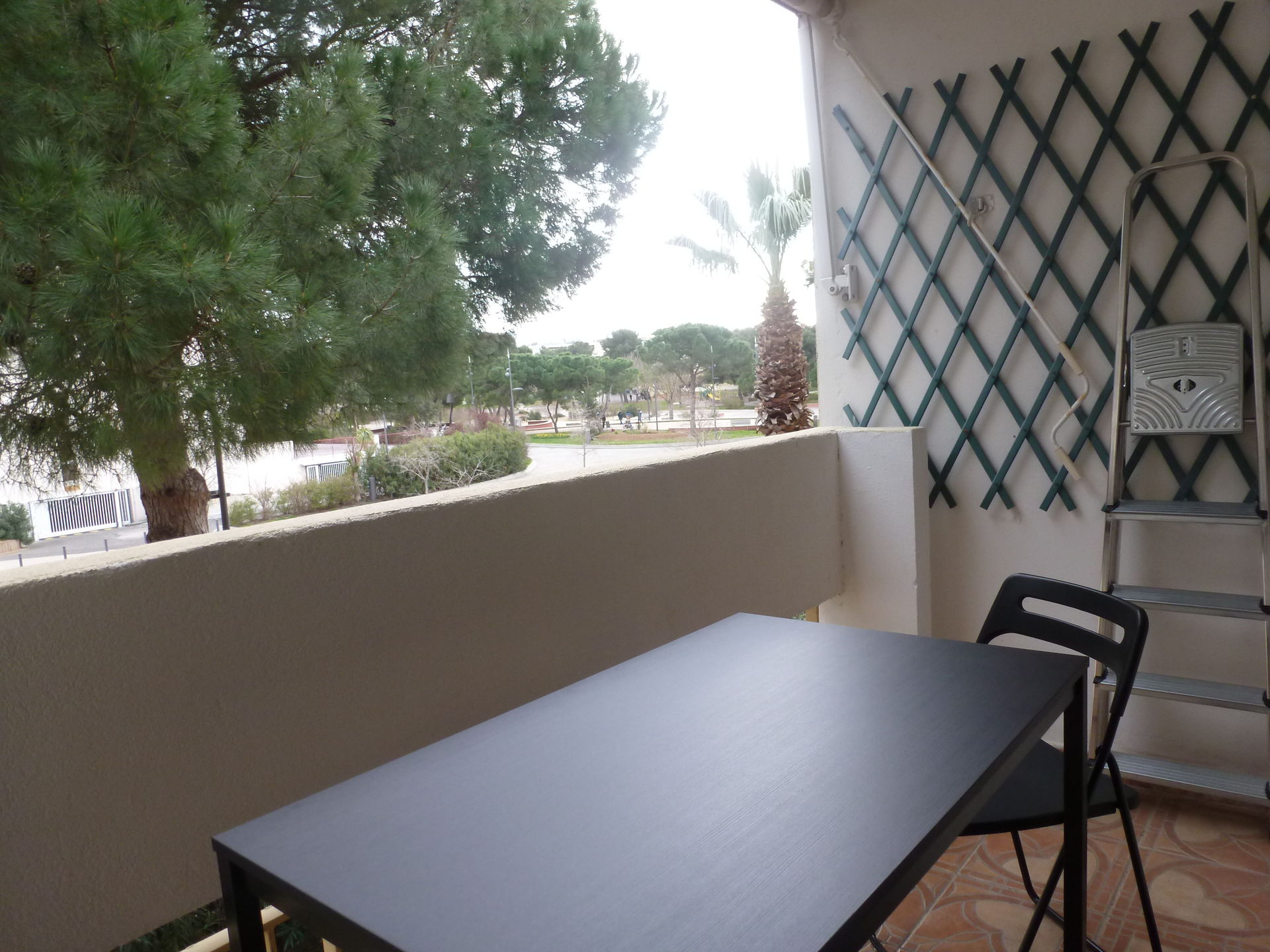 _lv_images__lot_0000000341_12_18110265