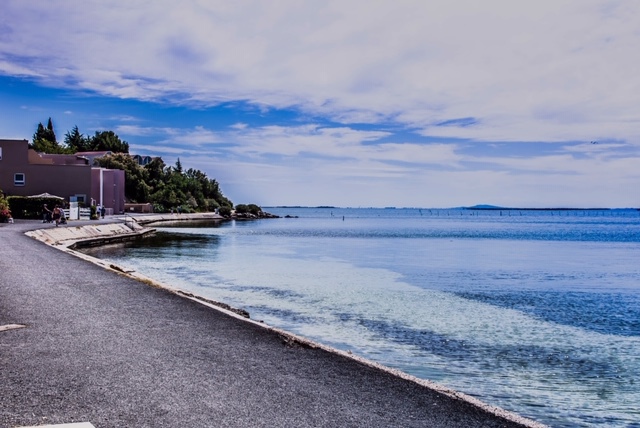 _lv_images__lot_0000000345_14_19127665