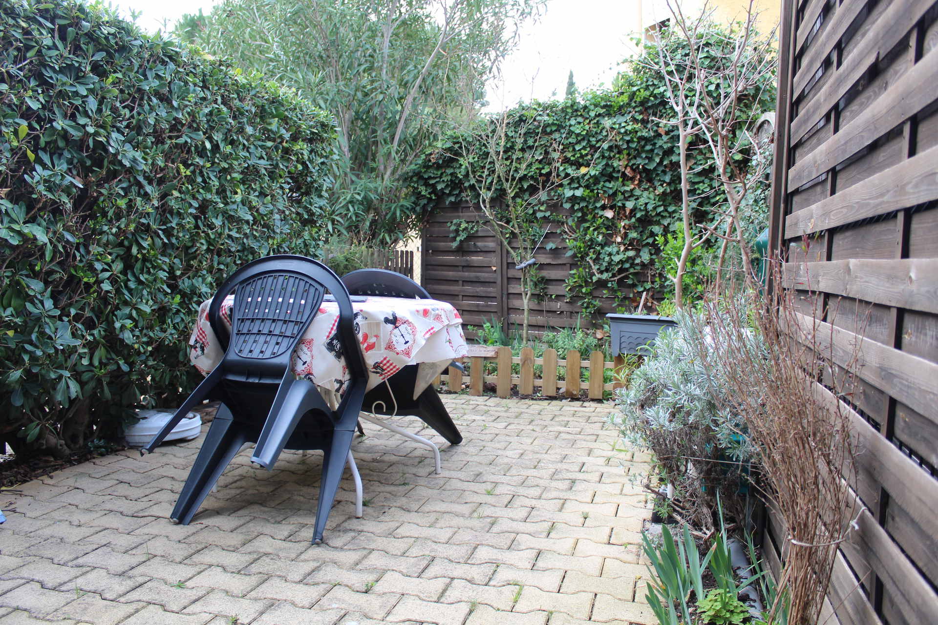 _lv_images__lot_0000000354_09_18110523