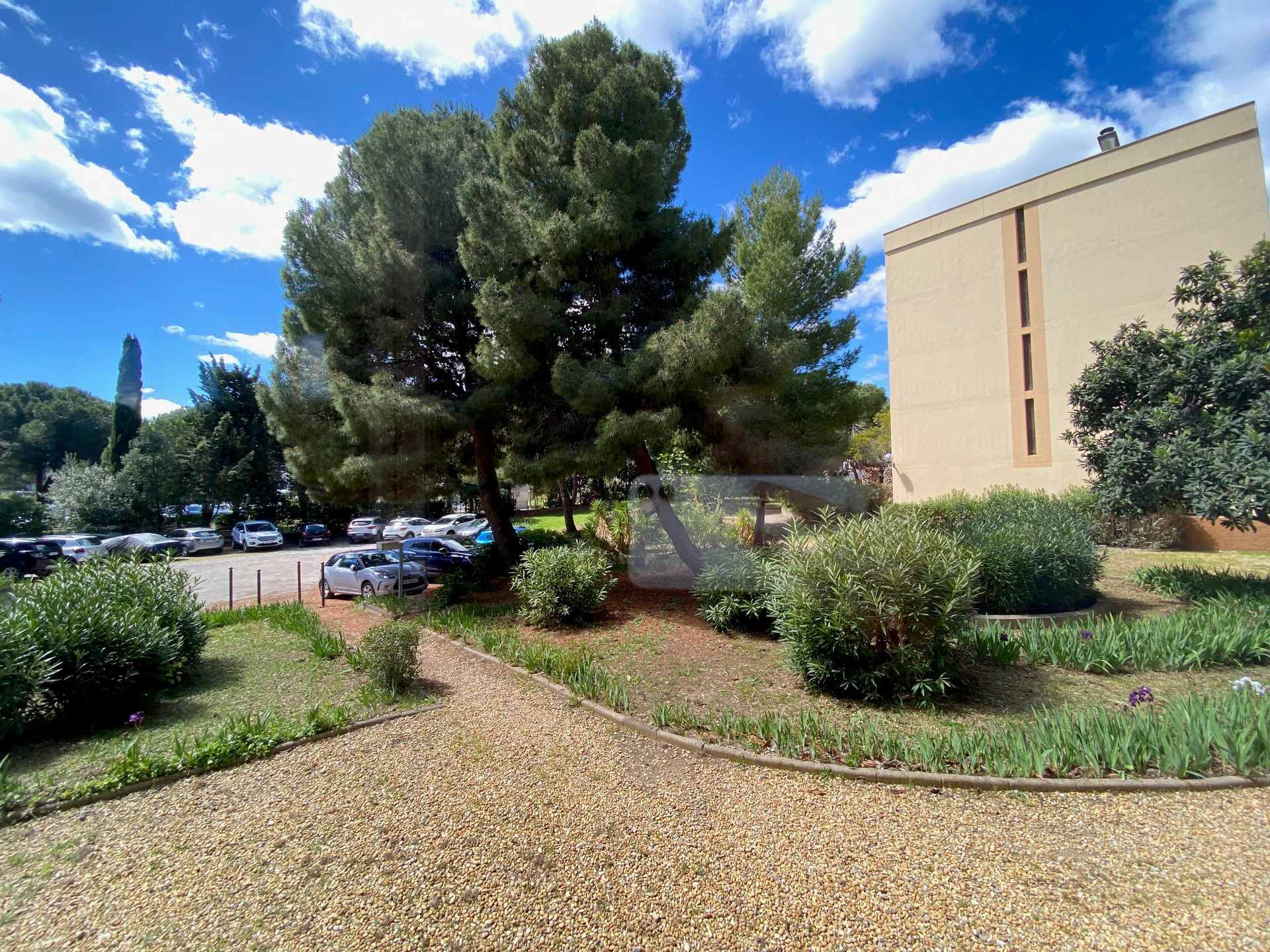 _lv_images__lot_0000000423_09_19190222