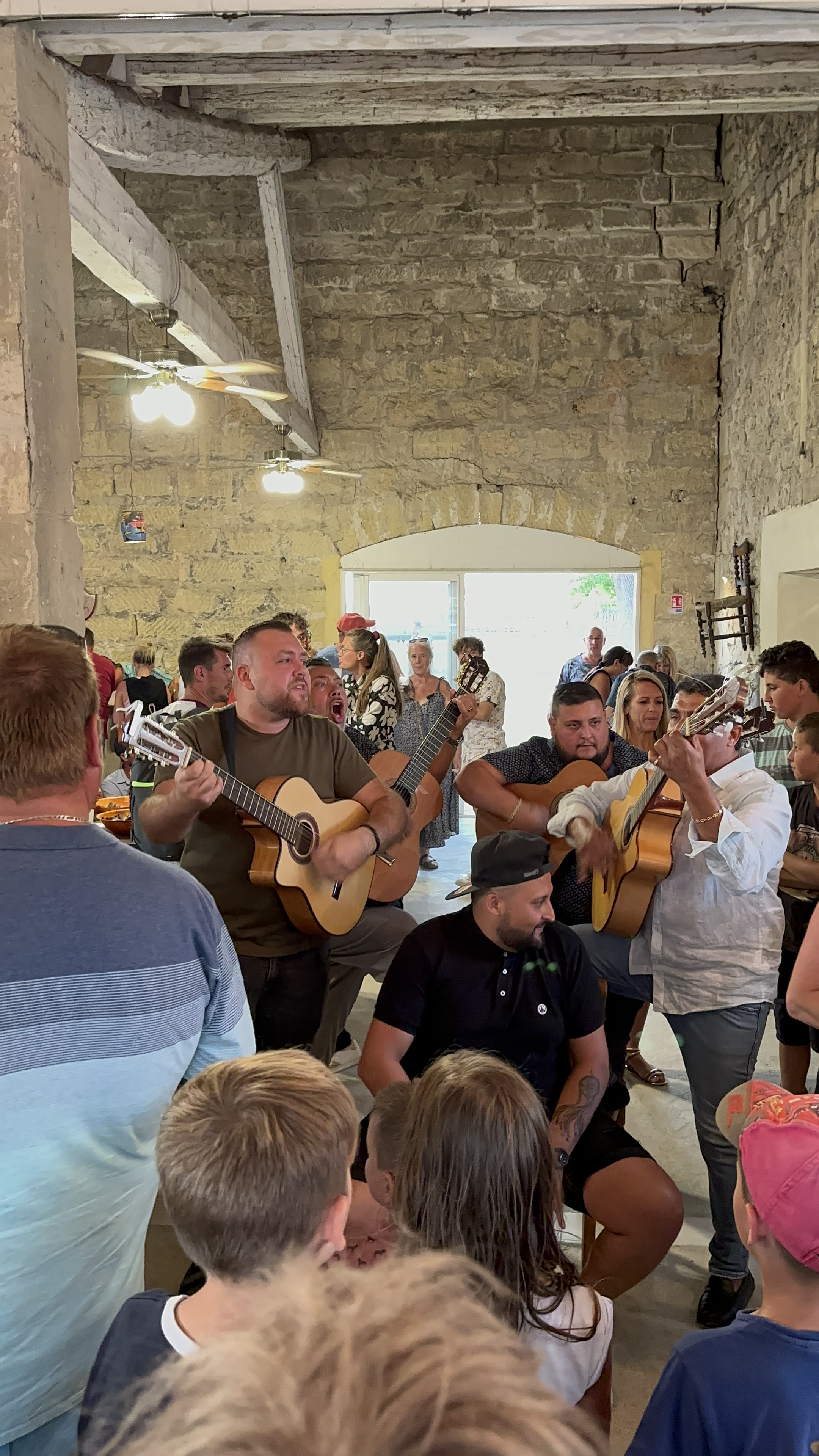 img-0172-camarguaise-12379717