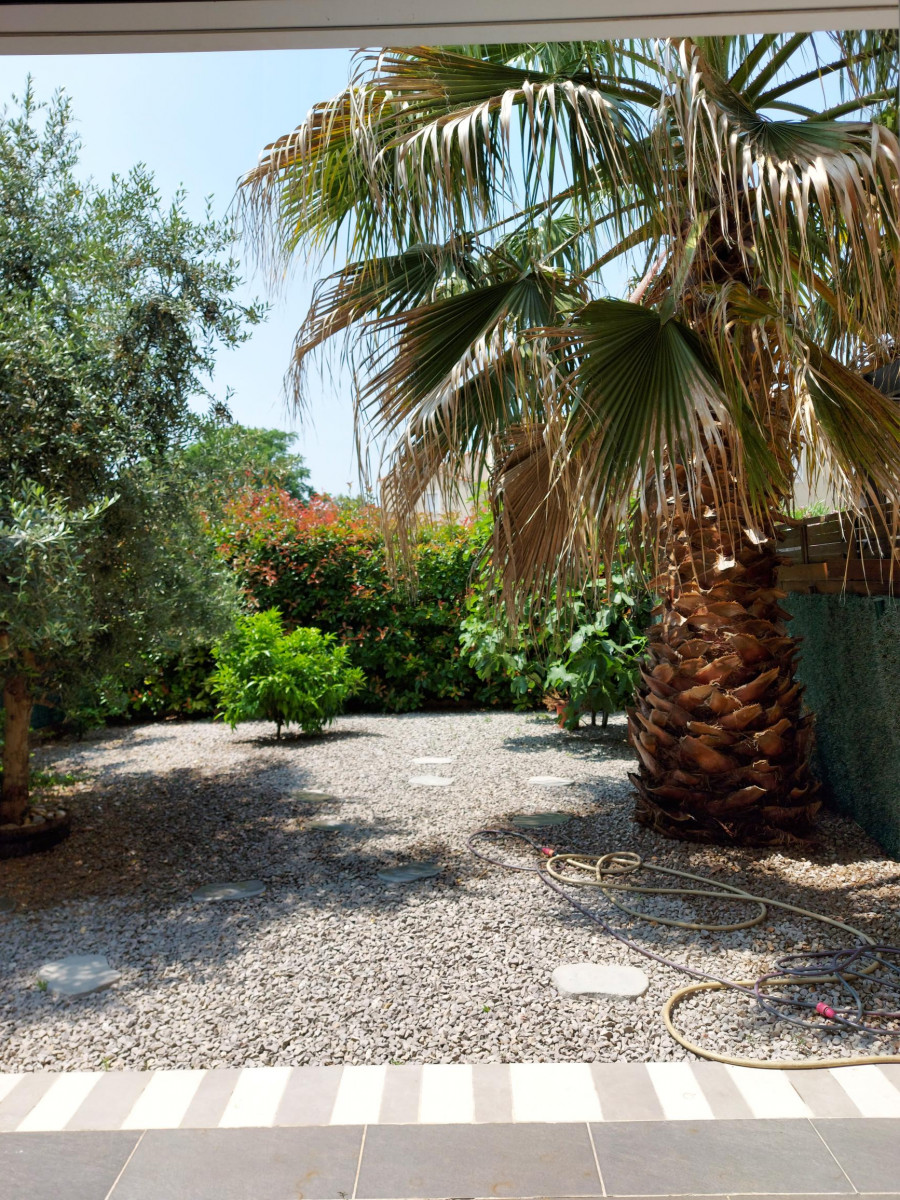 LOCATION BALARUC LE VIEUX LA MAISON COSY COHEN AKNINE DAVID (2)