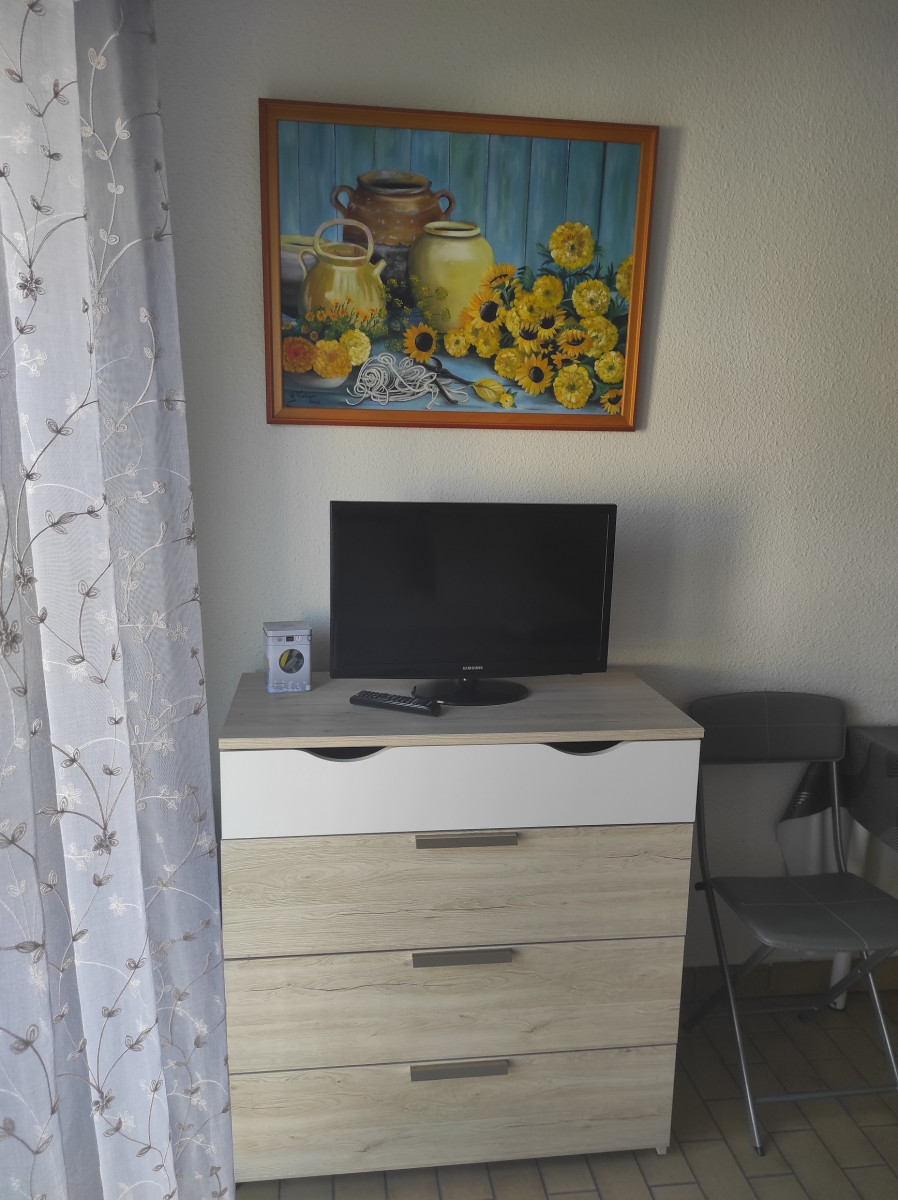 LOCATION BALARUC LES BAINS MME TEULIER N°47 RESIDENCE APPOLOIDE (8)