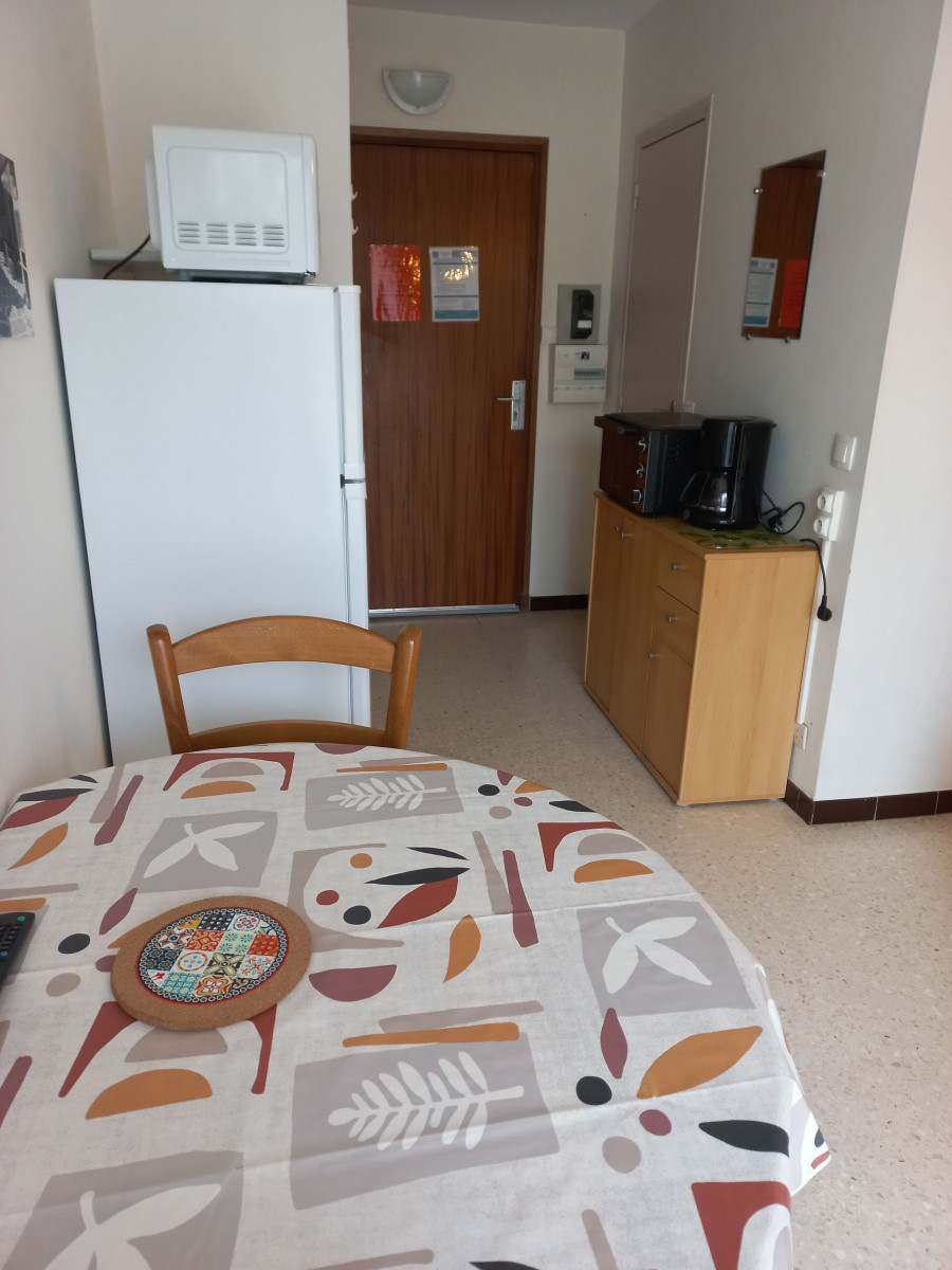 LOCATION BALARUC LES BAINS RESIDENCE AMPHITRITE PFEIFER NATHALIE (8)_resultat
