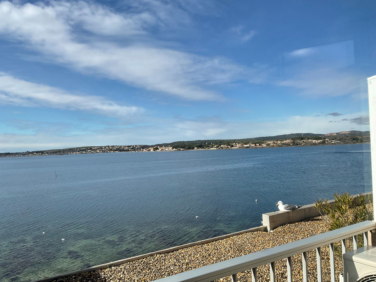 LOCATION BALARUC LES BAINS RESIDENCE FLAMANTS ROSES VATAIRE DENIS (2)