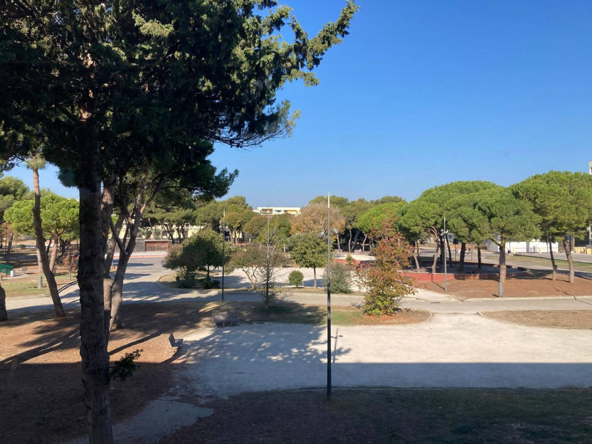 _clients_193454002_photos_130a_19265692