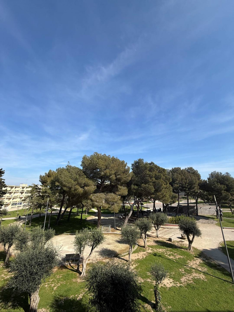 _clients_193454003_photos_139a_19265059