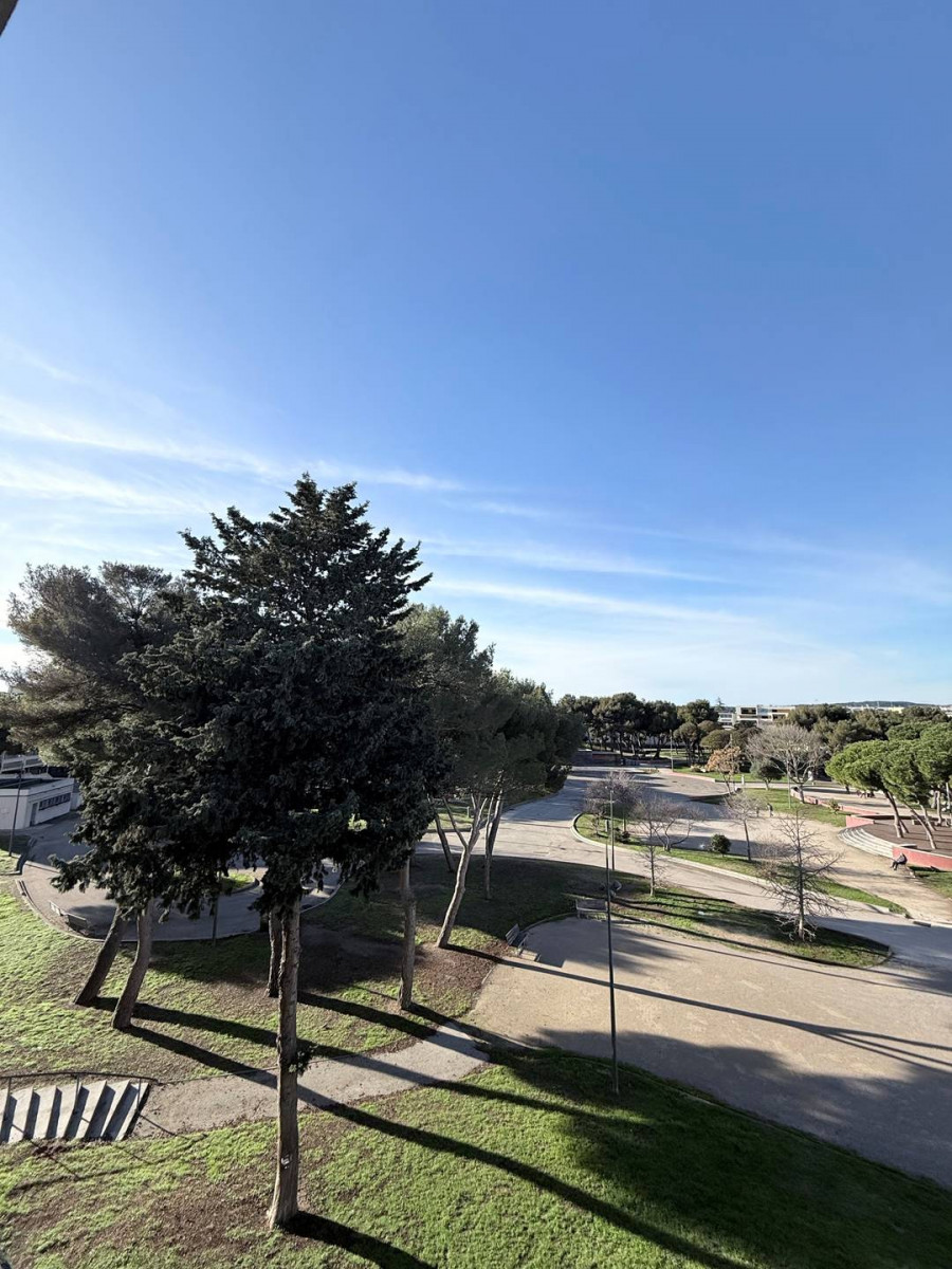 _clients_193454003_photos_233a_19171102