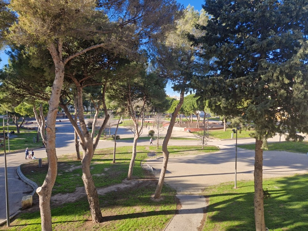 _clients_193454003_photos_309a_19017795