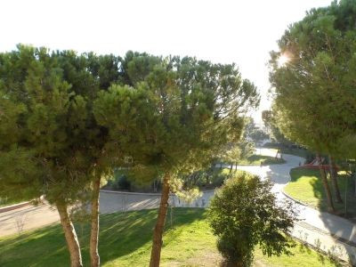 _clients_193454004_photos_68a_18834354