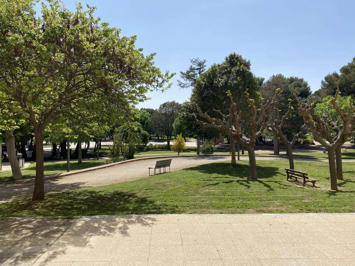 _clients_193454005_photos_541a_19461825
