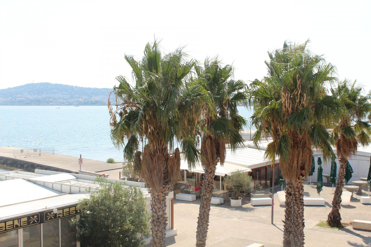 _lv_images__lot_0000000239_01_18847646