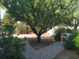 LOCATION-BALARUC-LE-VIEUX-19-RUE-DES-ROSIERS---DIAZ-MARIE-CHRISTINE---3-