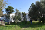 Location Balaruc les Bains Parc L'Olivier