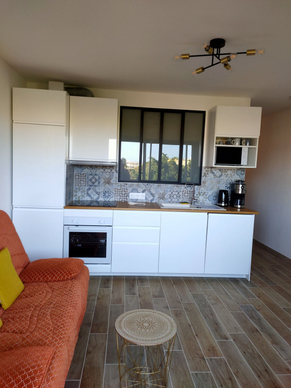LOCATION BALARUC LES BAINS 15 RESIDENCE ALBATROS MACCAFERRI LAURENT (3)_resultat
