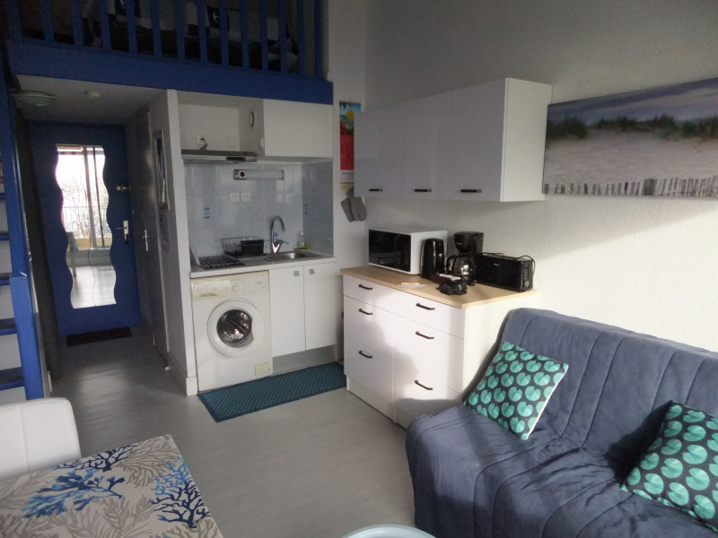 LOCATION BALARUC LES BAINS 160 RESIDENCE DU PORT B CHEVREMONT LAURENT (11)