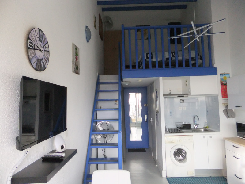LOCATION BALARUC LES BAINS 160 RESIDENCE DU PORT B CHEVREMONT LAURENT (12)