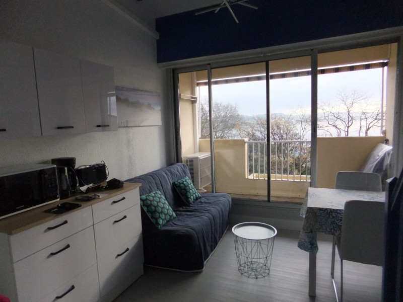 LOCATION BALARUC LES BAINS 160 RESIDENCE DU PORT B CHEVREMONT LAURENT (6)