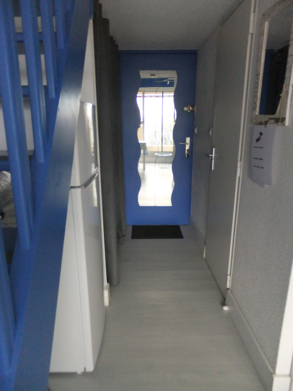 LOCATION BALARUC LES BAINS 160 RESIDENCE DU PORT B CHEVREMONT LAURENT (7)