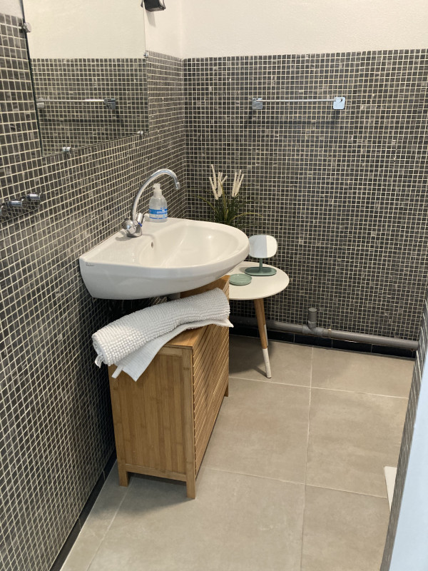 LOCATION BALARUC LES BAINS 17 RUE DU PIOCH LOUNICI CAROLINE (6)