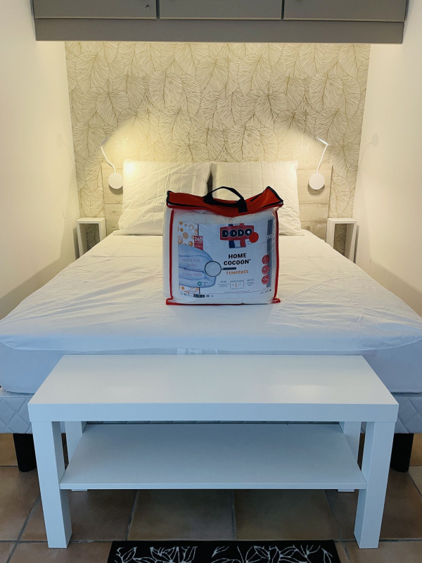 LOCATION BALARUC LES BAINS 38 RESIDENCE SEVIGNE 6 LEFEBVRE STEPHANIE (2)