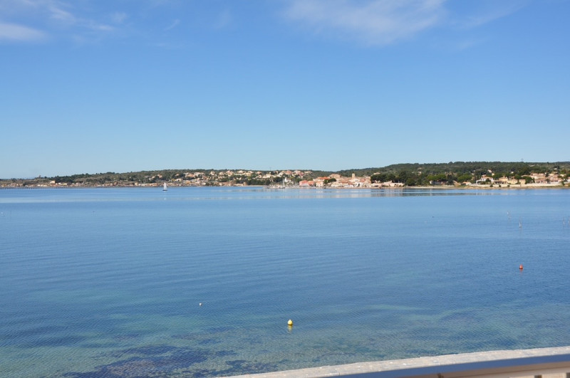 LOCATION BALARUC LES BAINS 44 FLAMANTS ROSES DEDIEU MARIE FRANCE 4