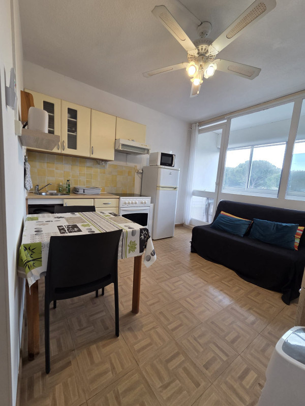 LOCATION BALARUC-LES-BAINS 45 RESIDENCE DES BAINS CARRON MARIELA (4)