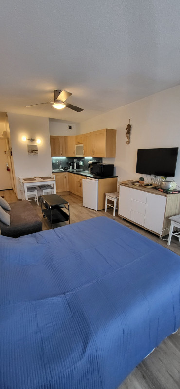 LOCATION BALARUC LES BAINS 66 RESIDENCE DES BAINS MONOD PATRICK(3)