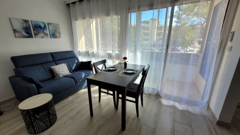 LOCATION BALARUC LES BAINS BLUE LAGOON PUJOL CELINE 1_resultat