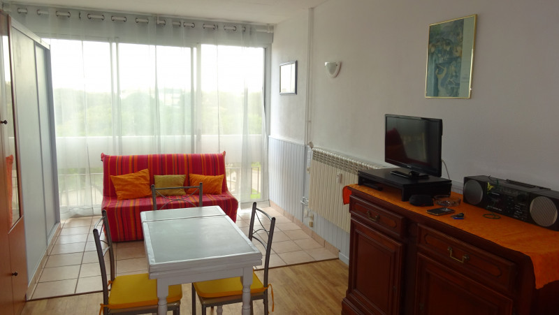 LOCATION BALARUC LES BAINS COMTE MARCONNET (1)