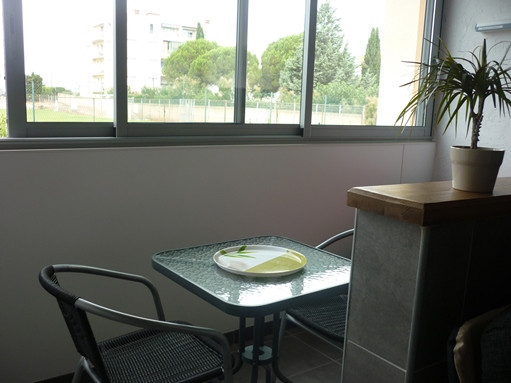 LOCATION BALARUC LES BAINS MR PELLET RESIDENCE LES LISERONS