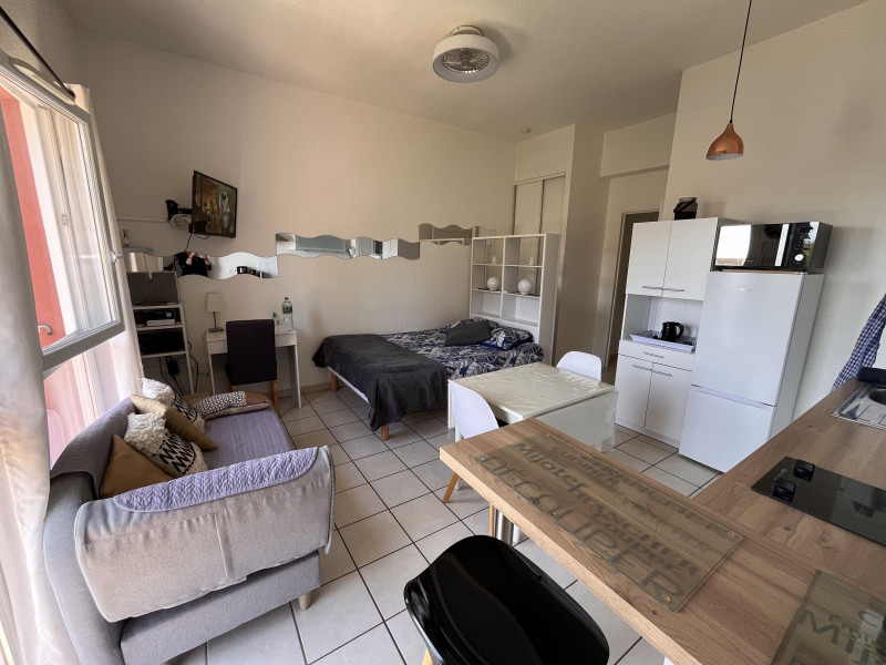 LOCATION BALARUC LES BAINS RESIDENCE  BELVEDERE 2 DELMAS CHRISTINE (3)_resultat
