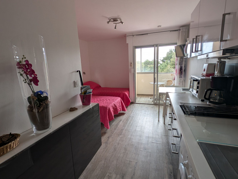 LOCATION BALARUC LES BAINS RESIDENCE CLAIR SOLEIL RABIN JACQUES (3)