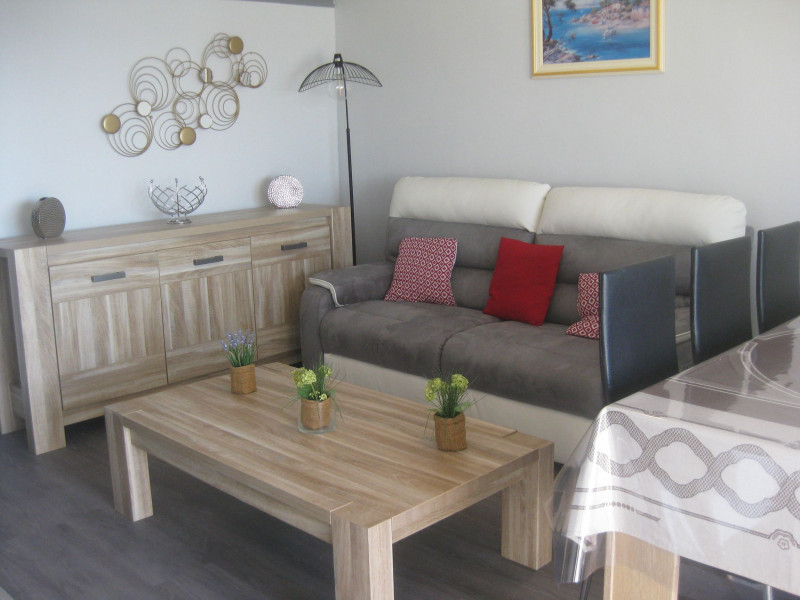 LOCATION BALARUC LES BAINS RESIDENCE COLBERT 16 DEVERCHERE MICHEL (3)