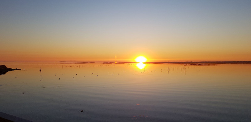 LOCATION BALARUC LES BAINS RESIDENCE FLAMANTS ROSES 37 MONTEIL SABINE (2) LOCATION BALARUC LES BAINS RESIDENCE FLAMANTS ROSES 37 MONTEIL SABINE (2)