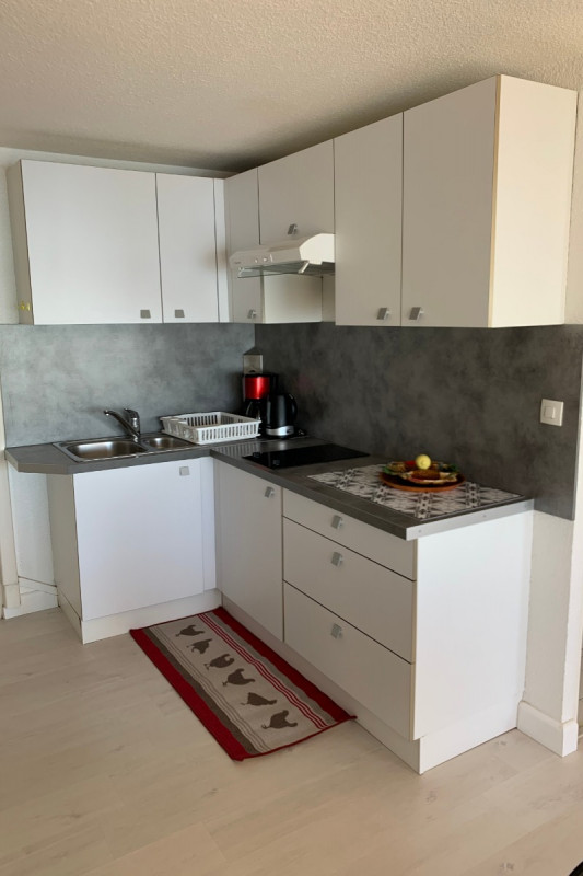 LOCATION BALARUC LES BAINS RESIDENCE FLAMANTS ROSES ROUBIOU MADELEINE (1)