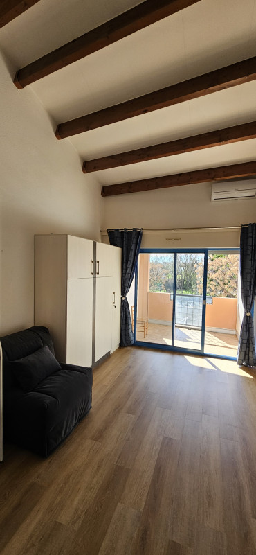 LOCATION BALARUC LES BAINS RESIDENCE NAIADES 2 FARRUGIA MIREILLE (3)