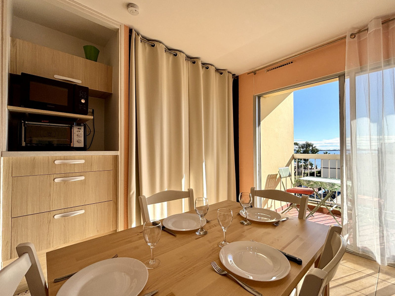 LOCATION BALARUC LES BAINS RESIDENCE NAUTIC A AUDRIN THERESE (1) LOCATION BALARUC LES BAINS RESIDENCE NAUTIC A AUDRIN THERESE (1)