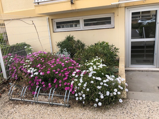 LOCATION BALARUC LES BAINS RESIDENCE NAUTIC A BUSTEAU GINETTE (2)