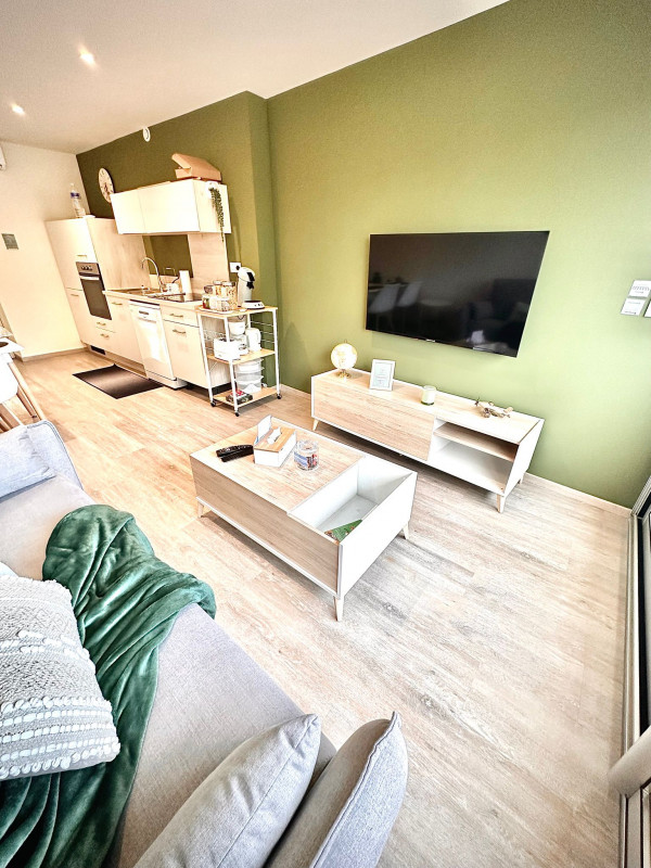 LOCATION BALARUC LES BAINS SPHYNX DE THAU BOUE FLORENT (10)