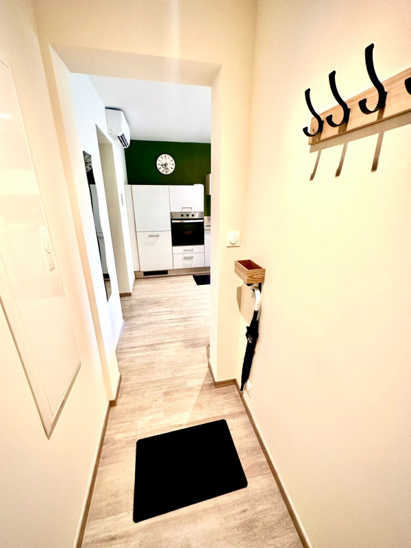 LOCATION BALARUC LES BAINS SPHYNX DE THAU BOUE FLORENT (11)