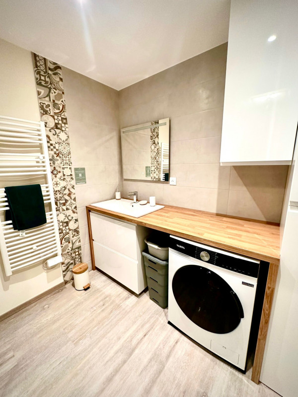 LOCATION BALARUC LES BAINS SPHYNX DE THAU BOUE FLORENT (12)