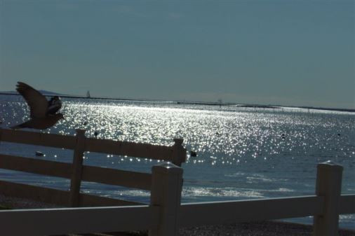 LOCATION BALARUC-LES-BAINS PONTIER CALANQUES