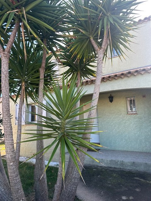 _clients_193454001_photos_232a_19328280