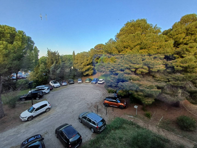 _clients_193454002_photos_101i_18969339