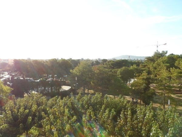 _clients_193454003_photos_113g_18954845