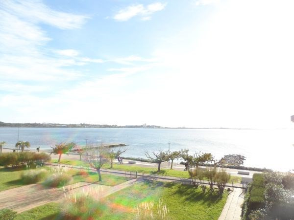 _clients_193454003_photos_156g_18507158 _clients_193454003_photos_156g_18507158