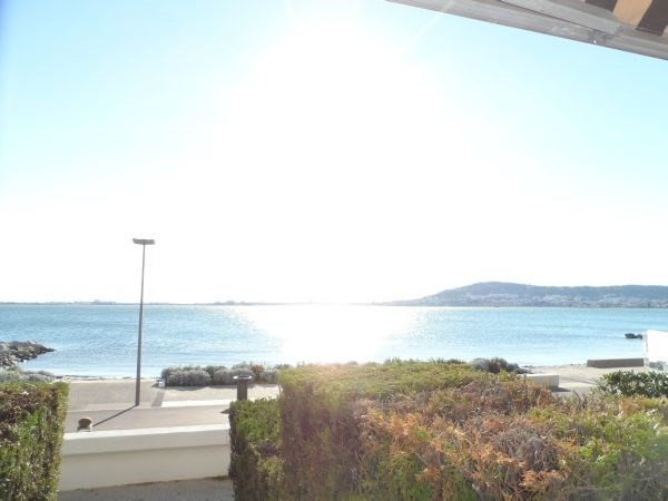 _clients_193454003_photos_244f_19038602 _clients_193454003_photos_244f_19038602